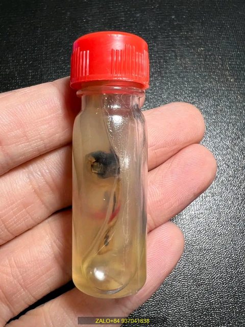 DẦU MAE NANG LONG PRAI THÁI LAN THU HÚT MAY MẮN TÀI LỘC